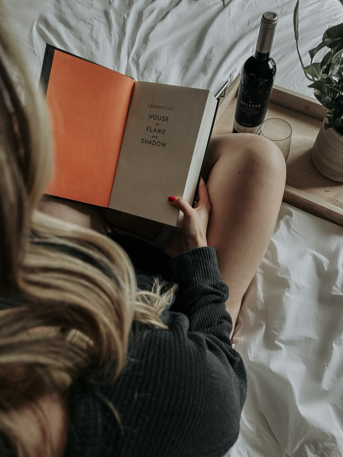 Crescent City: House of Flame and Shadow