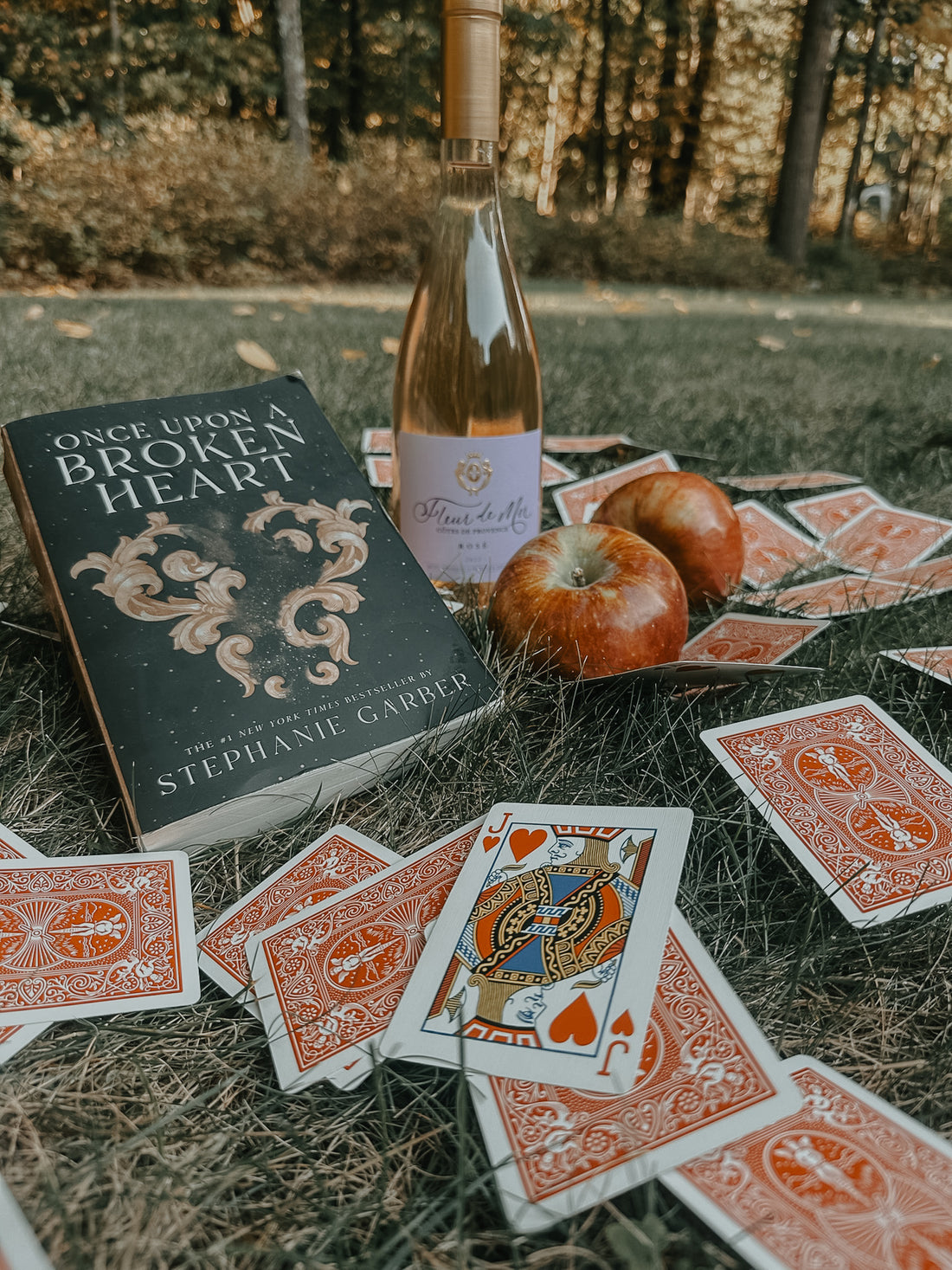 Once Upon a Broken Heart